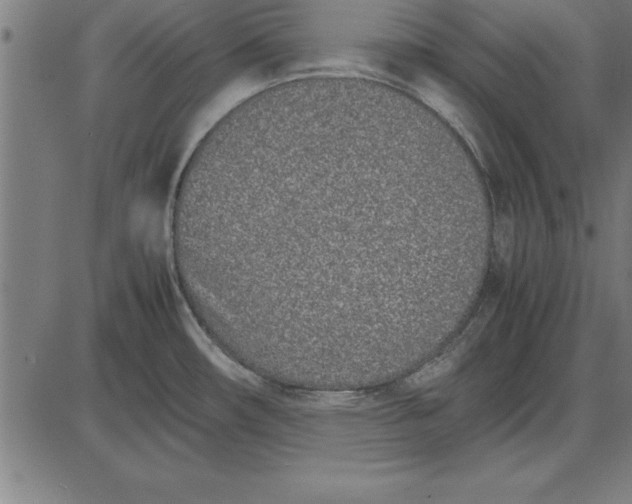 X0000086111482200704091405