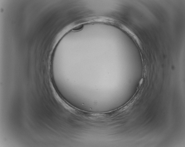 X0000086111483200704091405