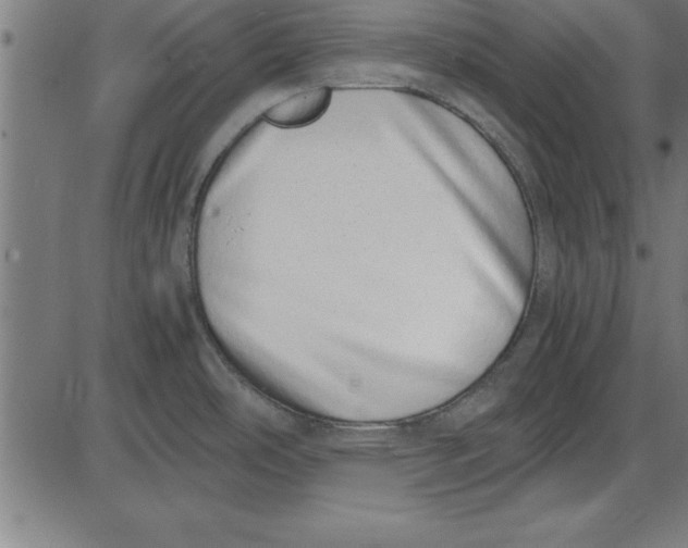 X0000086111486200704091405