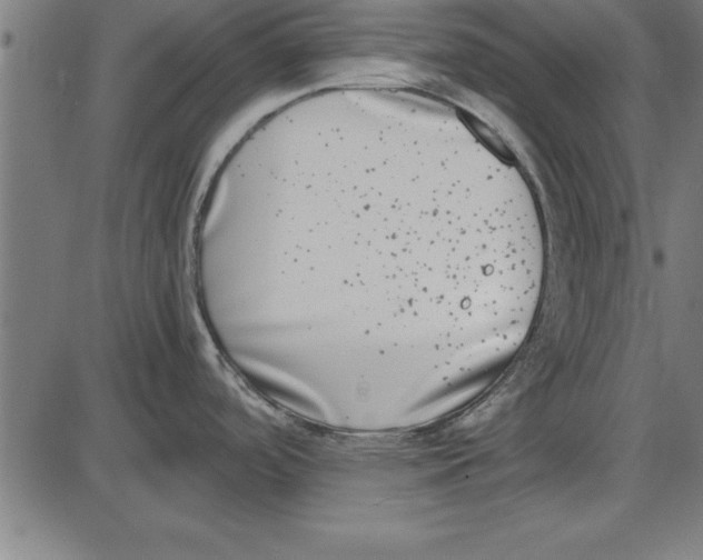 X0000086111488200704091405