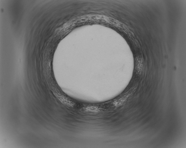 X0000086111489200704091404