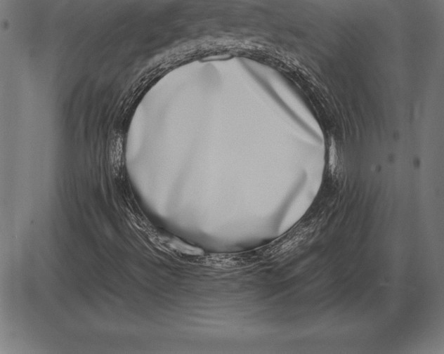 X0000086111492200704091404