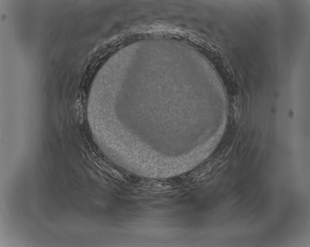 X0000086111493200704091405