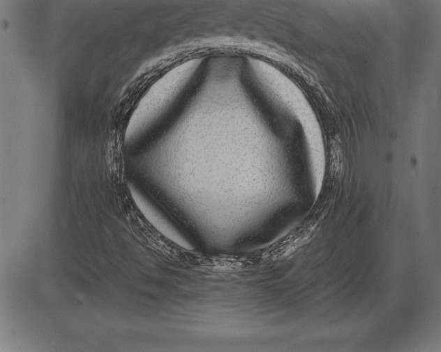 X0000086111494200704091405