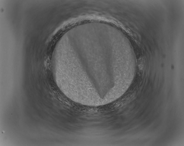 X0000086111495200704091405