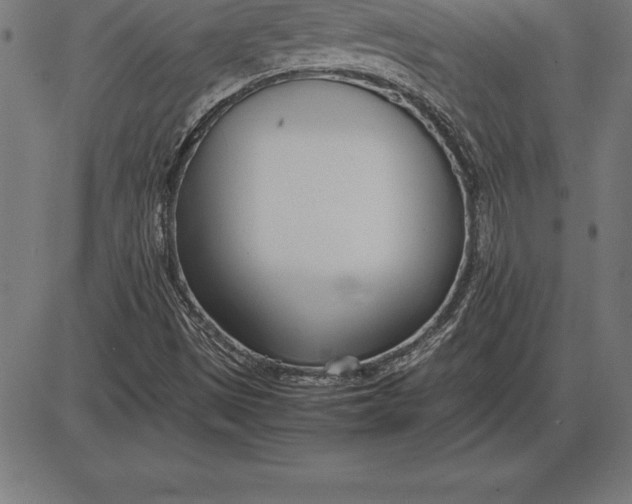 X0000086111497200704091405