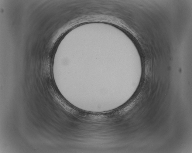 X0000086111498200704091405