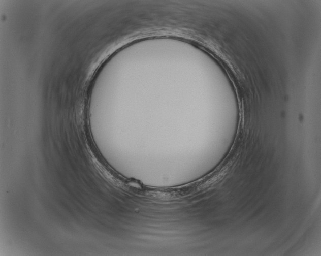 X0000086111500200704091405