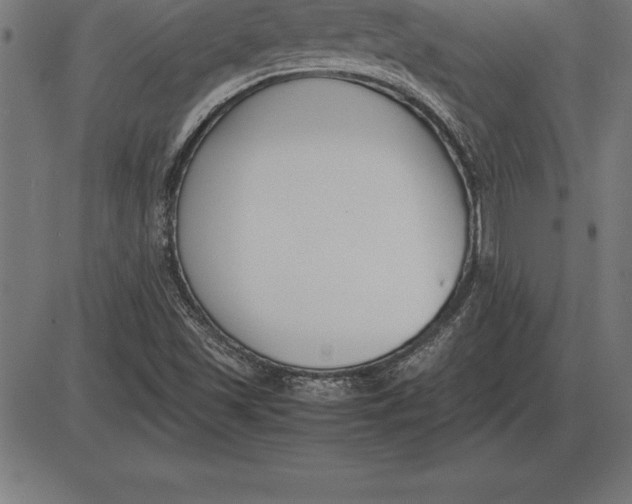 X0000086111501200704091405