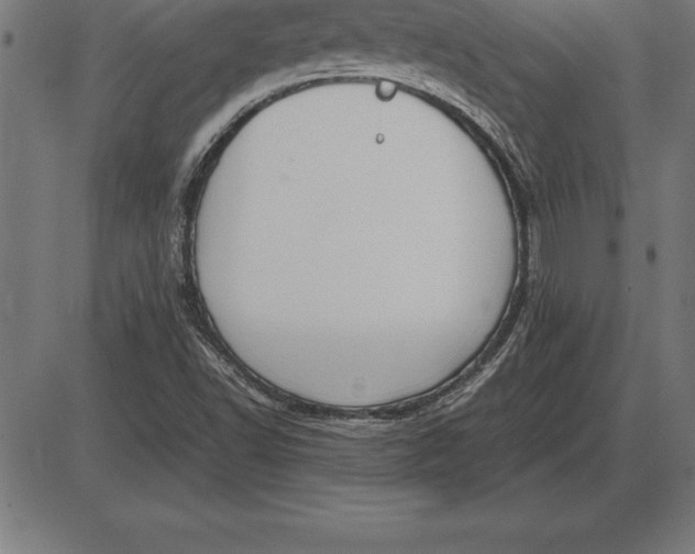 X0000086111502200704091405