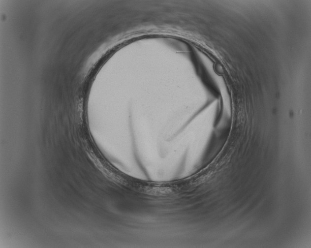 X0000086111503200704091405