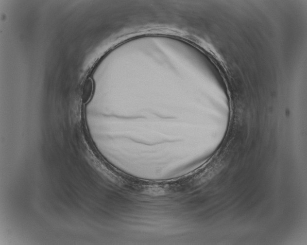 X0000086111504200704091405