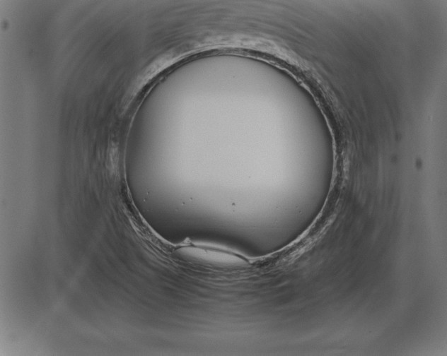 X0000086111505200704091405