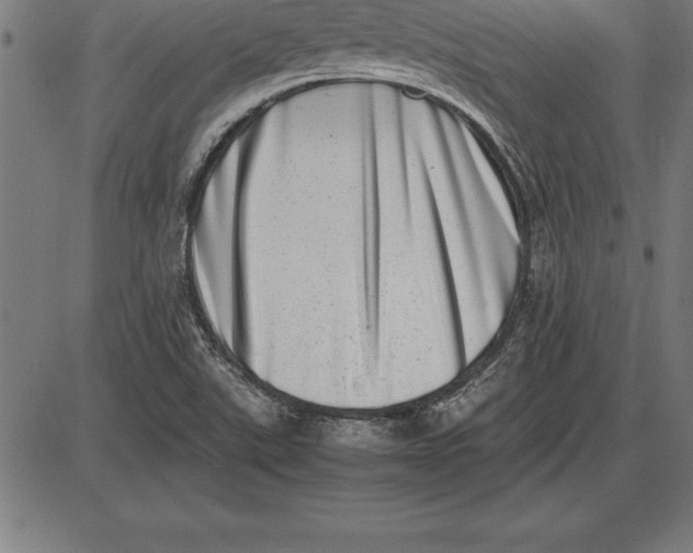 X0000086111507200704091405