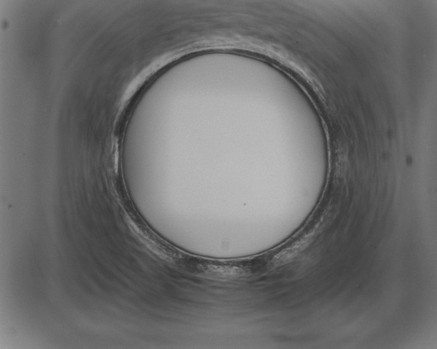 X0000086111509200704091405