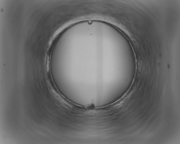 X0000086111510200704091405