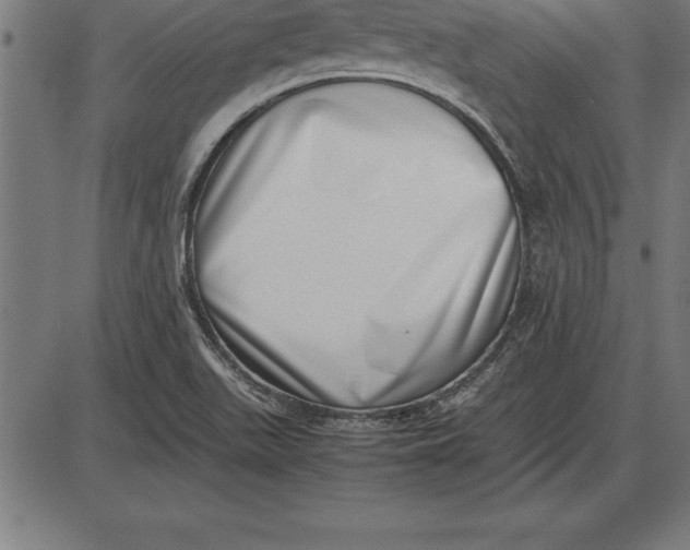 X0000086111511200704091405