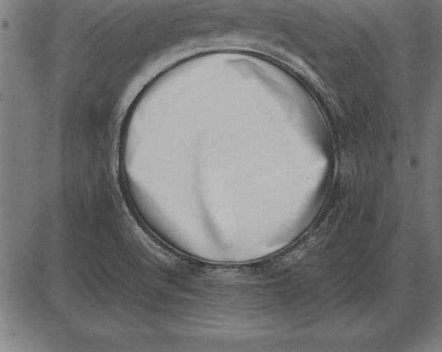 X0000086111512200704091405