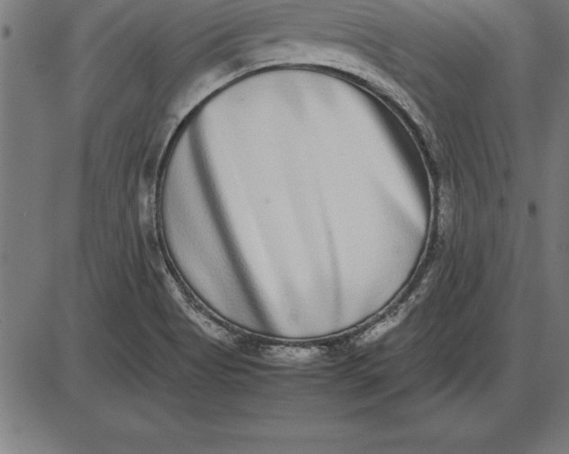 X0000086111513200704091405