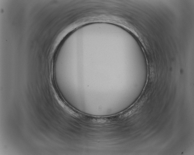 X0000086111515200704091405