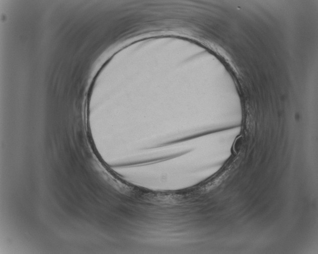 X0000086111516200704091405