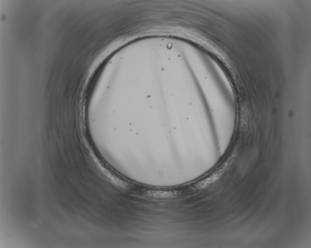 X0000086111517200704091405