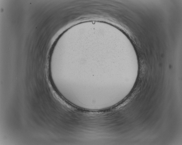 X0000086111518200704091405