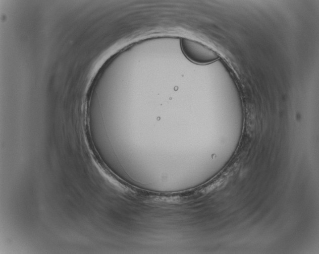 X0000086111519200704091405