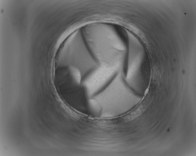 X0000086111520200704091405