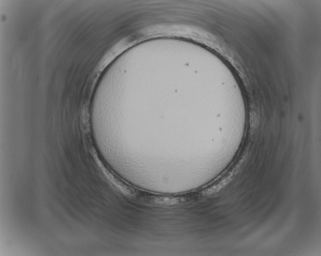 X0000086111521200704091405