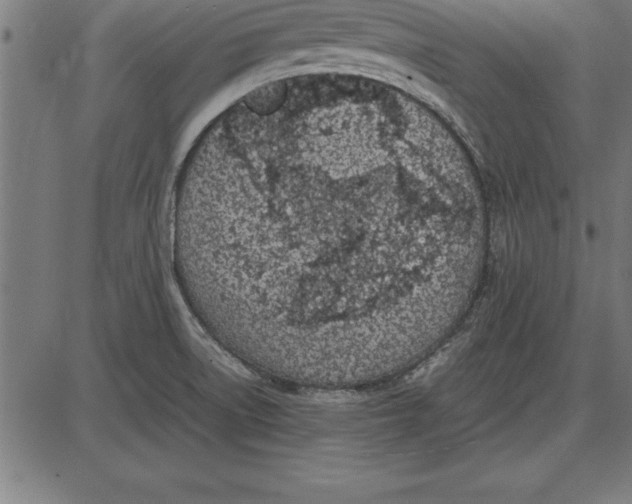 X0000086111522200704091405