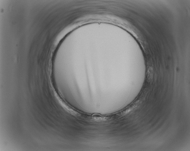 X0000086111523200704091405