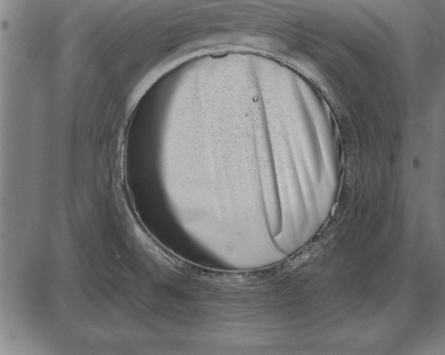 X0000086111524200704091405