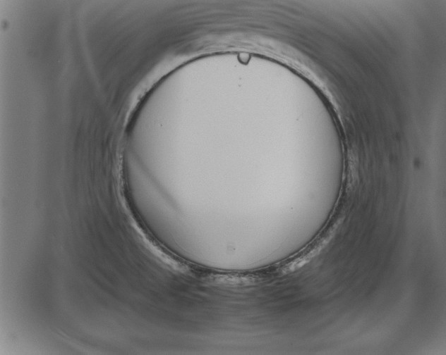 X0000086111525200704091405