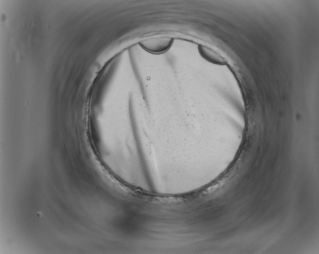 X0000086111526200704091405