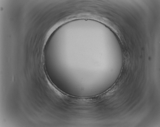 X0000086111527200704091405