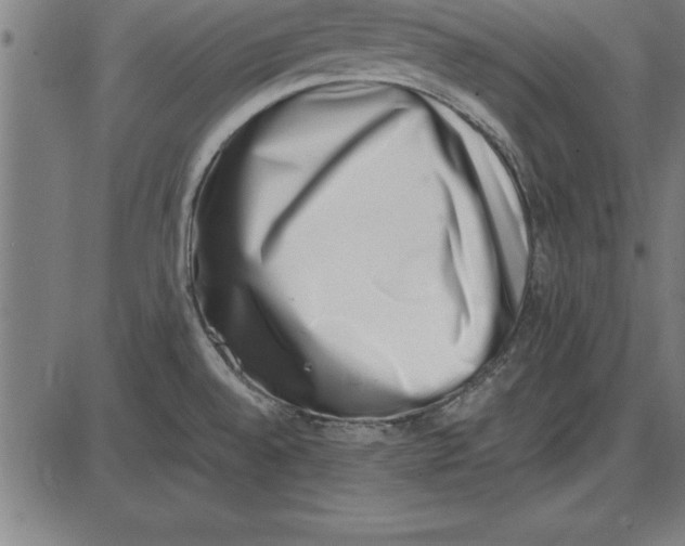 X0000086111528200704091405