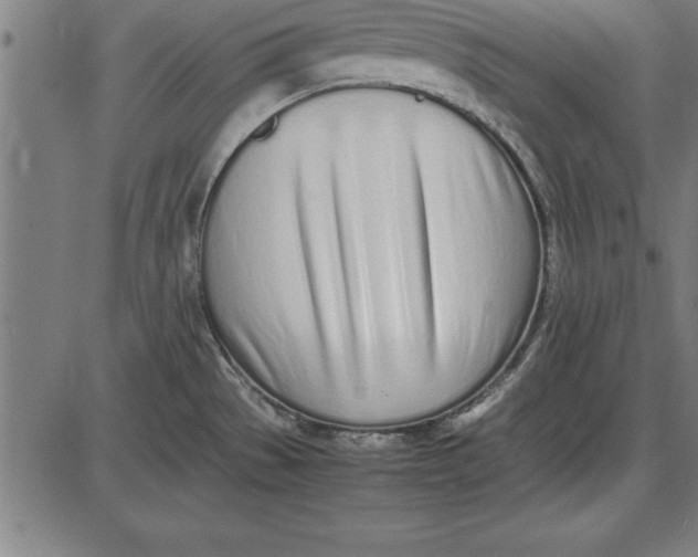 X0000086111529200704091405