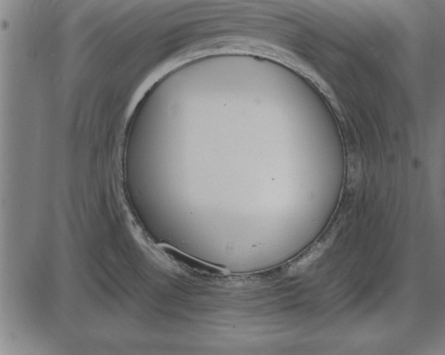 X0000086111530200704091405