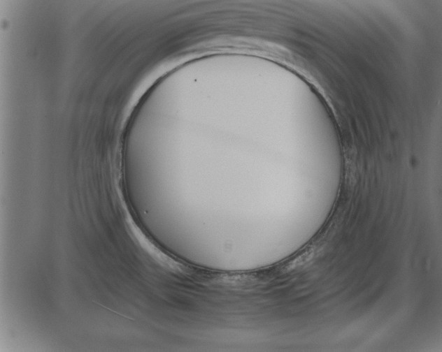 X0000086111531200704091405