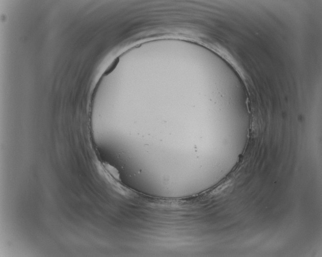 X0000086111532200704091405