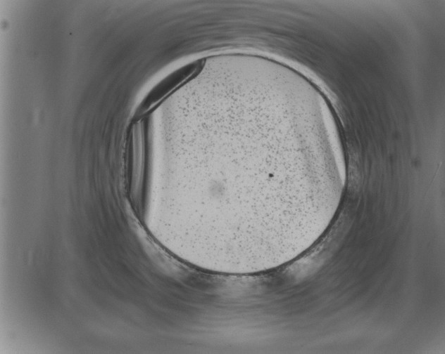 X0000086111534200704091405