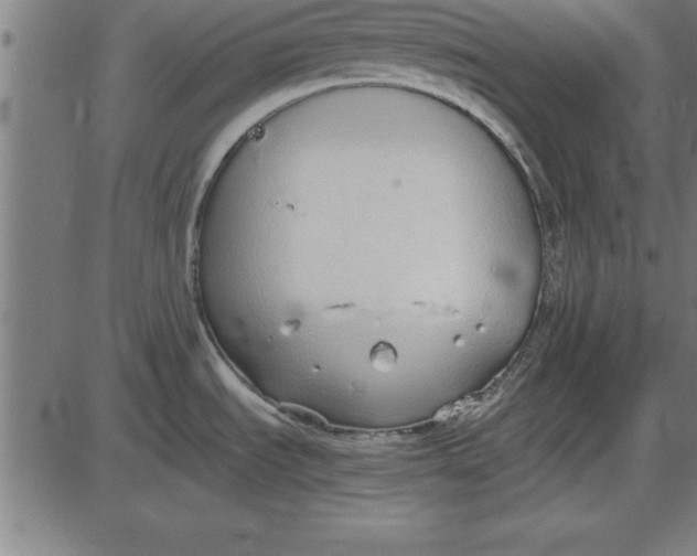 X0000086111535200704091405