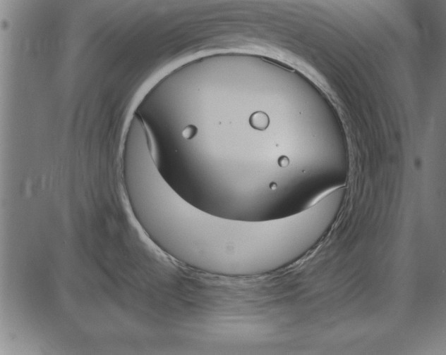 X0000086111536200704091405