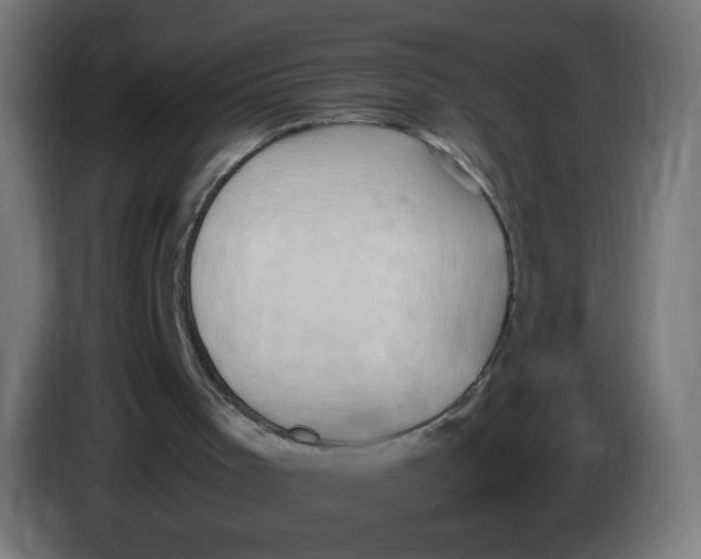 X0000086110001200704132219