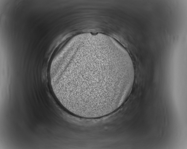 X0000086110002200704132219