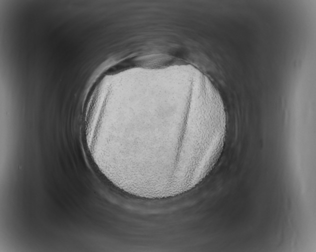 X0000086110003200704132219