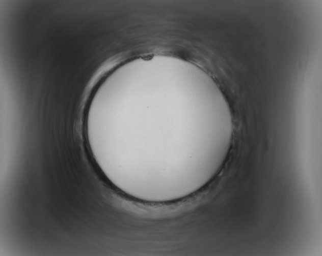 X0000086110006200704132219