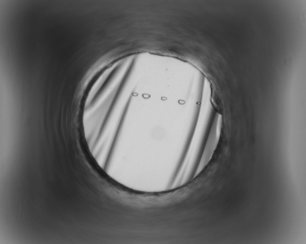 X0000086110007200704132219