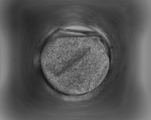 X0000086110009200704132219